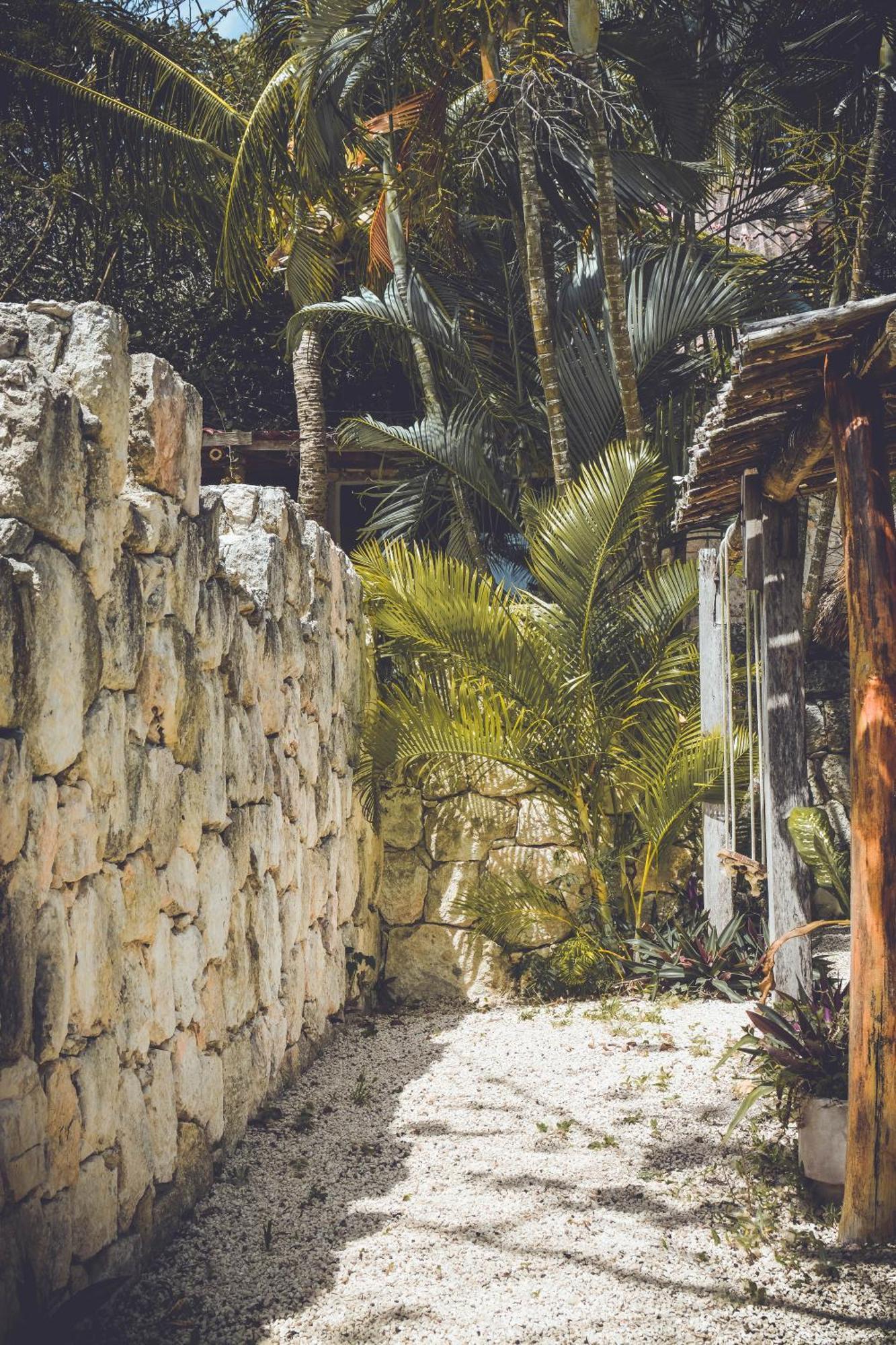 Tortuga Bacalar Bed and Breakfast Exterior foto